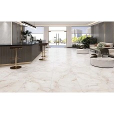 ПЛИТКА PALAZZO R MAT 60X60 